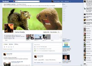 Facebook Timeline for corecorina